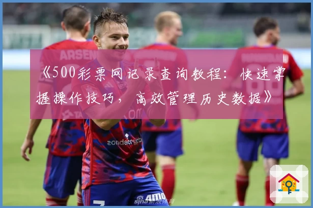 《500彩票网记录查询教程：快速掌握操作技巧，高效管理历史数据》