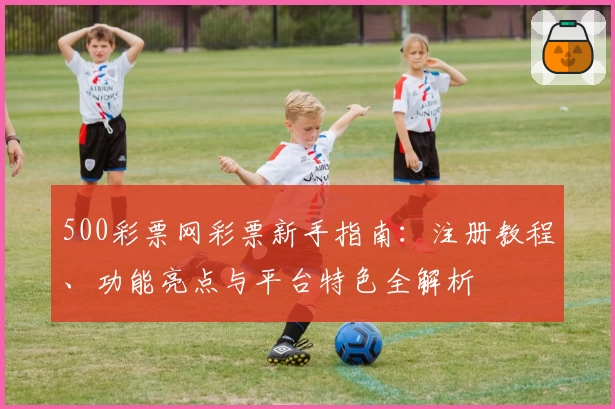500彩票网彩票新手指南：注册教程、功能亮点与平台特色全解析