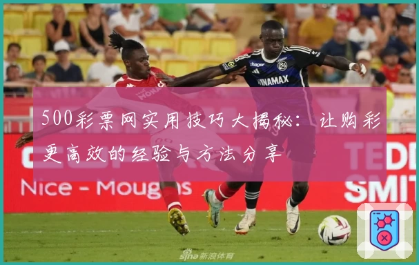 500彩票网实用技巧大揭秘：让购彩更高效的经验与方法分享