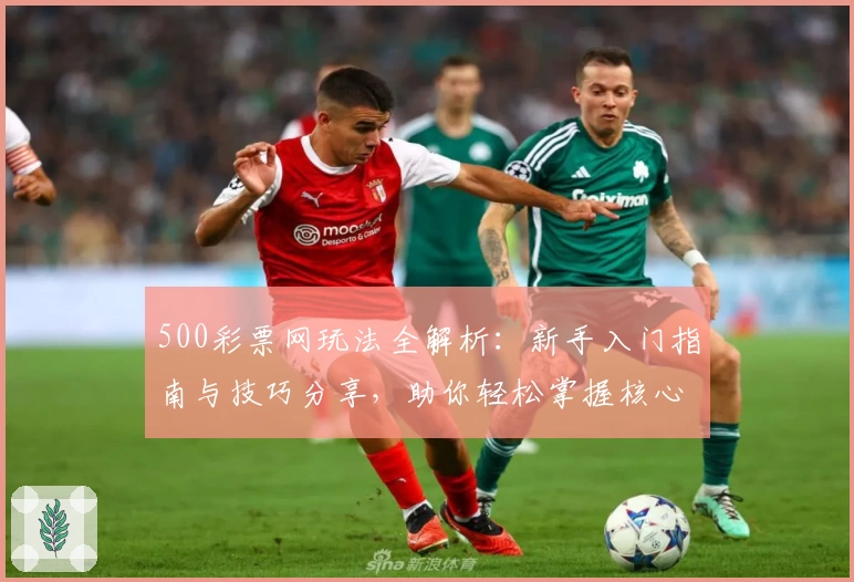 500彩票网玩法全解析：新手入门指南与技巧分享，助你轻松掌握核心操作