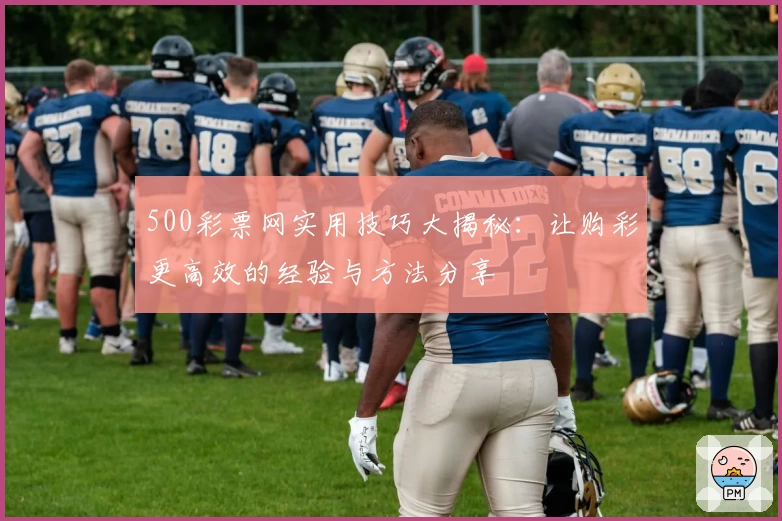 500彩票网实用技巧大揭秘：让购彩更高效的经验与方法分享